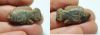 Picture of ANCIENT HOLY LAND. 14TH CENTURY B.C. BRONZE WEIGHT. FISH