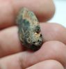 Picture of ANCIENT HOLY LAND. 14TH CENTURY B.C. BRONZE WEIGHT. FISH