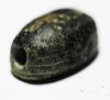 Picture of Ammonite Iron Age II, ca. 7th century BC. Stone seal.