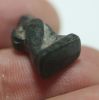 Picture of ANCIENT EGYPTIAN STONE BA BIRD AMULET. 1400 - 1200 B.C  NEW KINGDOM