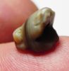 Picture of ANCIENT EGYPT, NEW KINGDOM BANDED AGATE FROG. 1550-1077 B.C