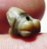 Picture of ANCIENT EGYPT, NEW KINGDOM BANDED AGATE FROG. 1550-1077 B.C