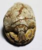 Picture of ANCIENT EGYPT - BEAUTIFUL & ELEGANT 2ND INTERMEDIATE PERIOD STEATITE SCARAB. 2000 B.C.