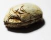 Picture of ANCIENT EGYPT. 2ND INTERMEDIATE PERIOD. STONE SCARAB. 1782-1550 B.C