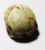 Picture of ANCIENT EGYPT. 2ND INTERMEDIATE PERIOD. STONE SCARAB. 1782-1550 B.C