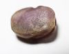 Picture of ANCIENT EGYPT. NEW KINGDOM SMALL AMETHYST SCARAB. 1400 - 1200 B.C