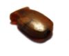 Picture of ANCIENT EGYPT. NEW KINGDOM MEMORIAL STONE SCARAB. 1400 - 1200 B.C