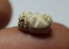 Picture of ANCIENT EGYPT. Nubian or Upper Egyptian head / Bead.   Pre-dynastic 3500-3000 BC 