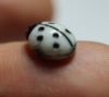 Picture of EGYPT. 200 years old? Venetian? Glass Ladybug inlay