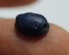 Picture of ANCIENT EGYPT. RARE NEW KINGDOM GLASS SCARAB 13TH CENTURY B.C.  RAMESSIDE ERA