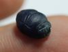 Picture of ANCIENT EGYPT. RARE NEW KINGDOM GLASS SCARAB 13TH CENTURY B.C.  RAMESSIDE ERA