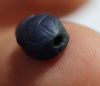 Picture of ANCIENT EGYPT. RARE NEW KINGDOM GLASS SCARAB 13TH CENTURY B.C.  RAMESSIDE ERA