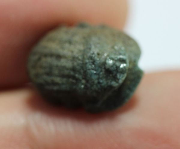 Picture of ANCIENT EGYPT. RARE NEW KINGDOM FAIENCE BUTTON SCARAB 13TH CENTURY B.C.