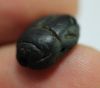 Picture of ANCIENT EGYPT. VERY RARE  GLASS SCARAB. 13TH CENTURY B.C.