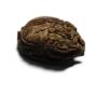 Picture of Ancient Egypt. New Kingdom. 1400 - 1200 B.C Stone Scarab