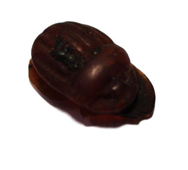Picture of ANCIENT EGYPT. LARGE STONE BUTTON SCARAB. NEW KINGDOM. 1400 B.C