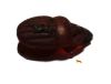 Picture of ANCIENT EGYPT. LARGE STONE BUTTON SCARAB. NEW KINGDOM. 1400 B.C
