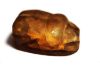 Picture of ANCIENT EGYPT. NEW KINGDOM STONE SCARAB.  1300 B.C . KING THUTMOSE III'S NAME