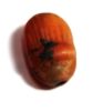 Picture of ANCIENT EGYPT. NEW KINGDOM STONE SCARAB.  1300 B.C
