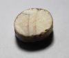 Picture of ANCIENT EGYPT. NEW KINGDOM. AGATE SCARABOID. 1400 - 1200 B.C