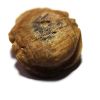 Picture of ANCIENT EGYPT. NEW KINGDOM STONE SCARAB. 1400 - 1200 B.C