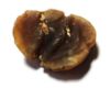 Picture of ANCIENT EGYPT. NEW KINGDOM STONE SCARAB. 1400 - 1200 B.C