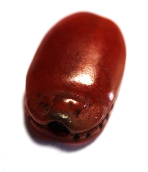 Picture of ANCIENT EGYPT. NEW KINGDOM. CARNELIAN SCARAB. 1250 B.C