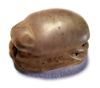 Picture of ANCIENT EGYPT. NEW KINGDOM. STONE (AMETHYST) SCARAB. 1250 B.C