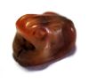 Picture of ANCIENT EGYPT. NEW KINGDOM. STONE FROG SHAPED SCARABOID. 1250 B.C