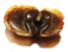 Picture of ANCIENT EGYPT. LARGE NEW KINGDOM STONE BUTTON SCARAB. 1250 B.C