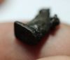 Picture of ANCIENT EGYPT. NEW KINGDOM ELECTRUM / SILVER CAT AMULET. 1250 B.C
