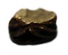 Picture of ANCIENT EGYPT.  NEW KINGDOM STONE SCARAB. 1400 - 1200 B.C