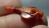 Picture of ANCIENT EGYPT. CARNELIAN CROCODILE? AMULET. 1250 B.C