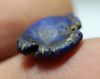 Picture of ANCIENT EGYPT. LAPIS LAZULI SEA SHELL AMULET. 1250 B.C