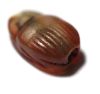 Picture of ANCIENT EGYPT. NEW KINGDOM STONE SCARAB.  1300 B.C