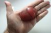 Picture of ANCIENT EGYPT. FASCINATING HUGE STONE HEART SCARAB. 1250 B.C