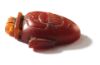 Picture of ANCIENT EGYPT.  EX. RARE CARNELIAN HEART AMULET ENGRAVED WITH A BEETLE. 1250 B.C