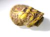 Picture of ANCIENT EGYPT. NEW KINGDOM GLASS BES. 1200 B.C. 