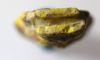 Picture of ANCIENT EGYPT. NEW KINGDOM GLASS BES. 1200 B.C. 