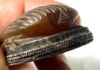 Picture of ANCIENT EGYPT. STONE & SILVER SCARAB PENDANT. 1479–1425 B.C. THUTMOSE III's  NAME