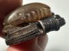 Picture of ANCIENT EGYPT. STONE & SILVER SCARAB PENDANT. 1479–1425 B.C. THUTMOSE III's  NAME