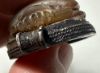 Picture of ANCIENT EGYPT. STONE & SILVER SCARAB PENDANT. 1479–1425 B.C. THUTMOSE III's  NAME