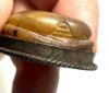 Picture of ANCIENT EGYPT. STONE & SILVER SCARAB PENDANT. 1479–1425 B.C