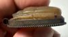Picture of ANCIENT EGYPT. STONE & SILVER SCARAB PENDANT. 1479–1425 B.C