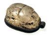 Picture of THUTMOSE III's  NAME:  ANCIENT EGYPT. STONE & SILVER SCARAB PENDANT. 1479–1425 B.C, 