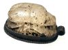 Picture of THUTMOSE III in the form of a sphinx: ANCIENT EGYPT. STONE & SILVER SCARAB PENDANT. 1479–1425 B.C