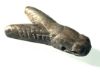Picture of ANCIENT EGYPT. NEW KINGDOM SILVER FLY AMULET. 1250 B.C