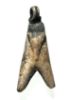 Picture of ANCIENT EGYPT. NEW KINGDOM SILVER FLY AMULET. 1250 B.C