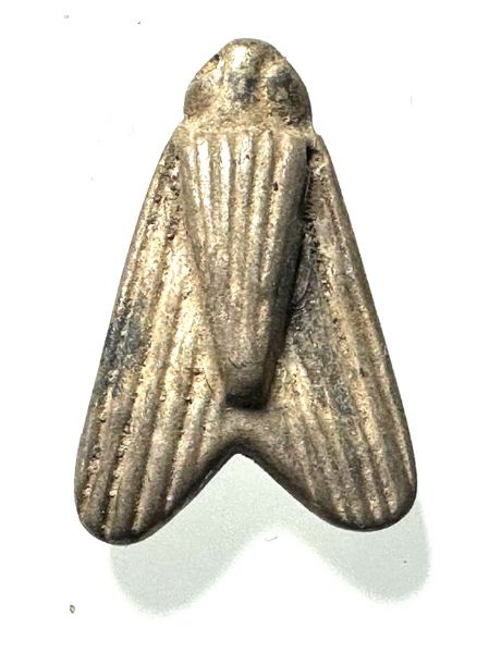 Picture of ANCIENT EGYPT. NEW KINGDOM SILVER FLY AMULET. 1250 B.C