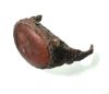 Picture of ANCIENT EGYPT.  ROMANO-EGYPT CARNELIAN INTAGLIO. IN THE FRAGMENT OF AN IRON RING  . FEMALE.  100 - 200  A.D
